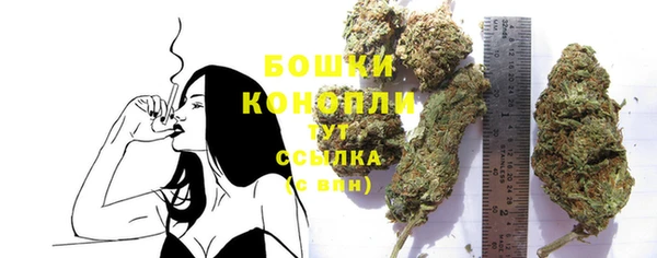 PSILOCYBIN Кинешма