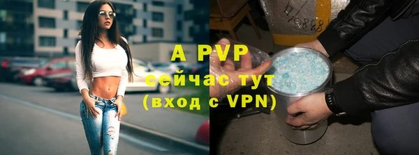 Альфа ПВП Касимов