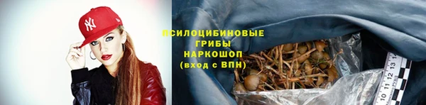 PSILOCYBIN Кинешма