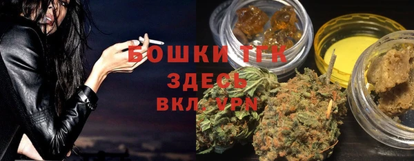 мдпв Киреевск