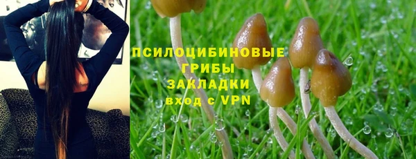 мдпв Киреевск