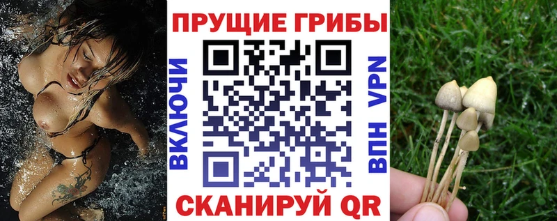 Галлюциногенные грибы мухоморы  Купить закладки  Буй 